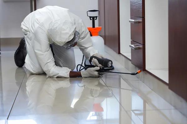 Wasp Pest Control Demystified: Sydney’s Go-To Guide for Homeowners